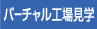 VIRTUAL